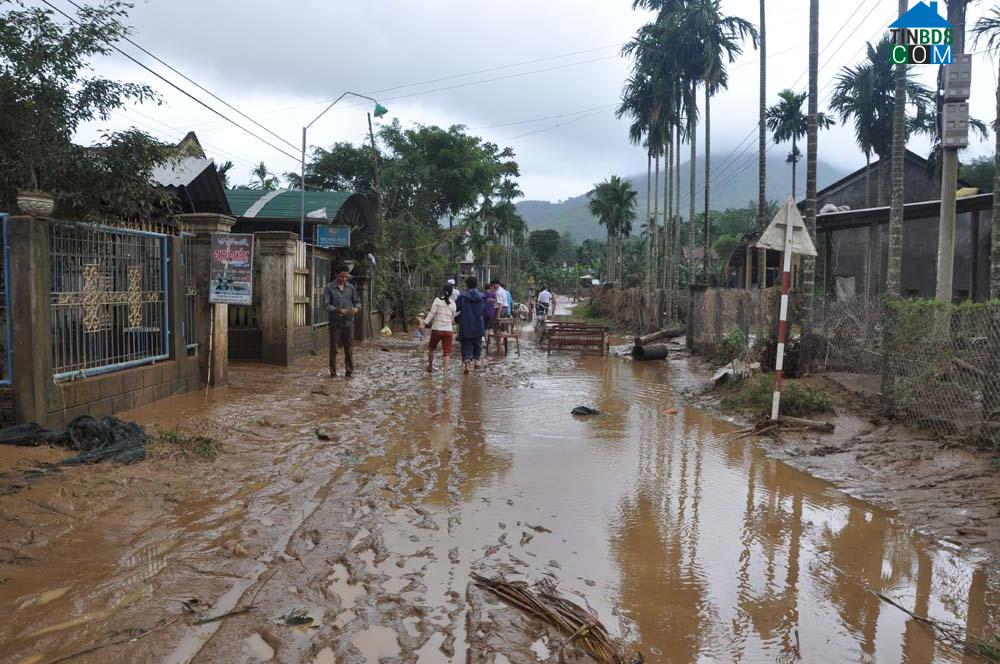 Hình ảnh Thiện Tín, Quảng Ngãi