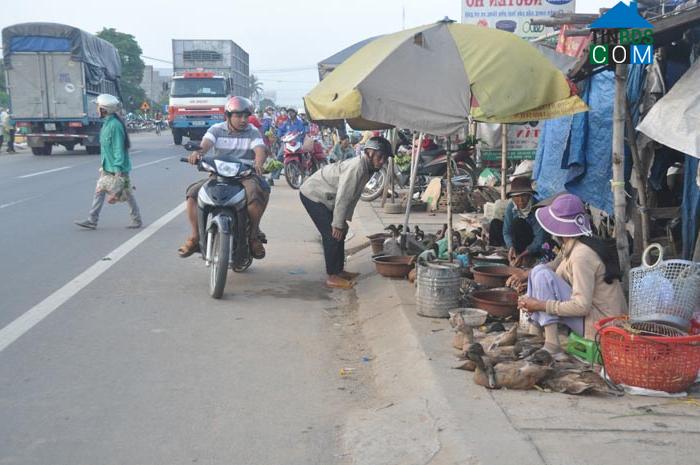 Hình ảnh Thọ Phong, Quảng Ngãi