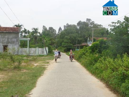 Hình ảnh Tư Nghĩa, Quảng Ngãi