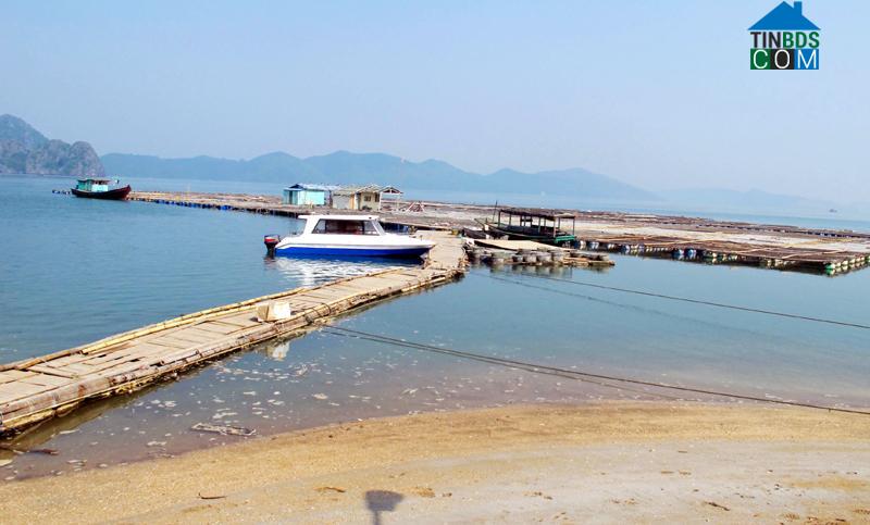 Hình ảnh Vân Đồn, Quảng Ninh