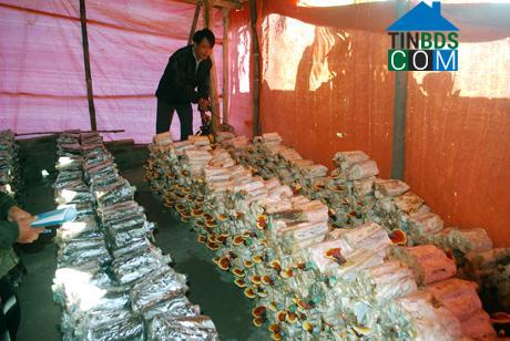 Hình ảnh Đường Hoa, Quảng Ninh