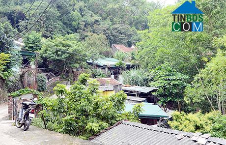 Hình ảnh Hạ Long, Quảng Ninh