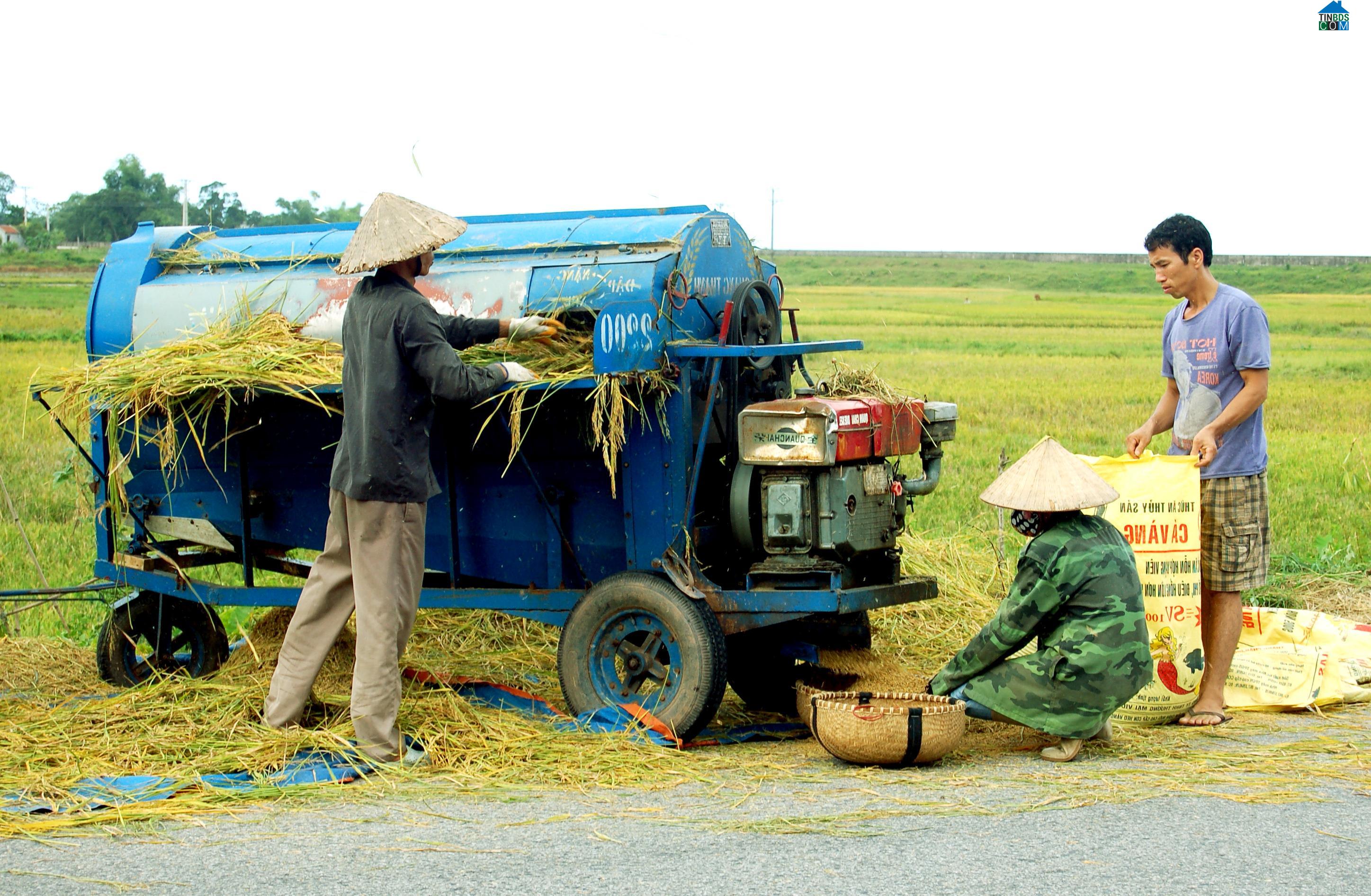 Hình ảnh Hải Ninh, Quảng Ninh