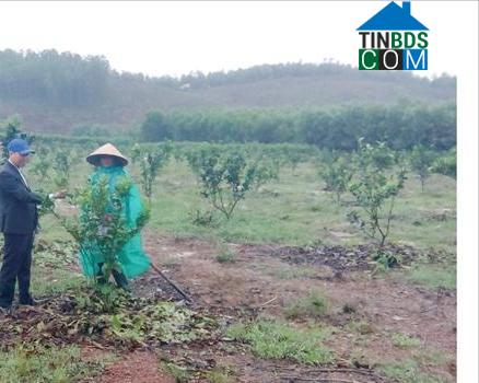 Hình ảnh Hải Lăng, Quảng Trị