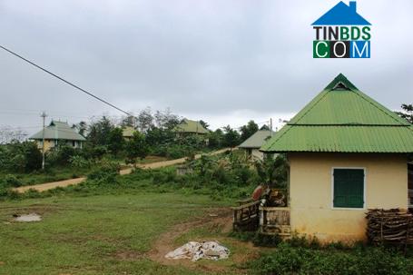 Hình ảnh Hướng Phùng, Quảng Trị