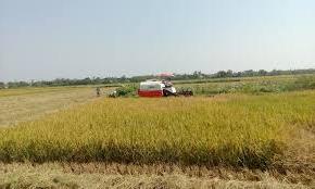 Hình ảnh Ái Tử, Quảng Trị