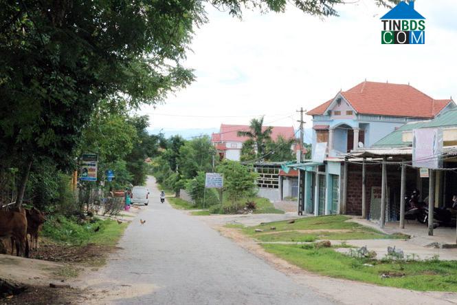 Hình ảnh Bố Trạch, Quảng Trị