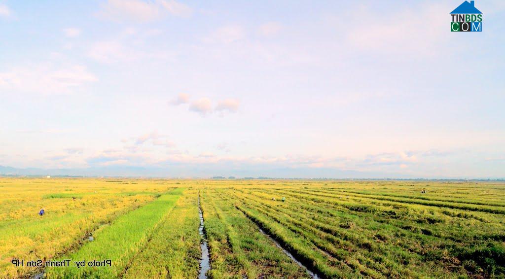 Hình ảnh Cam Hồng, Quảng Trị