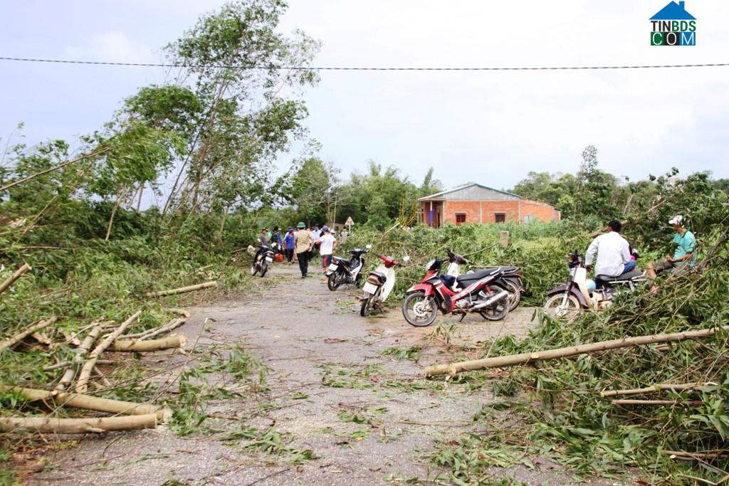 Hình ảnh Diên Sanh, Quảng Trị