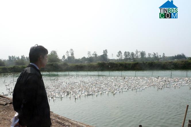 Hình ảnh Đông Trạch, Quảng Trị