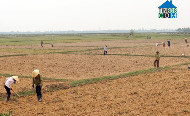 Hình ảnh Trung Thuần, Quảng Trị