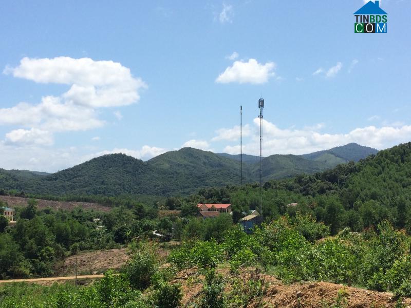 Hình ảnh Tuyên Bình, Quảng Trị