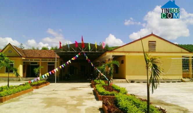 Hình ảnh Kim Ngân, Quảng Trị