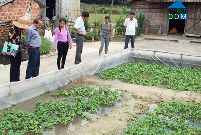 Hình ảnh Minh Hóa, Quảng Trị
