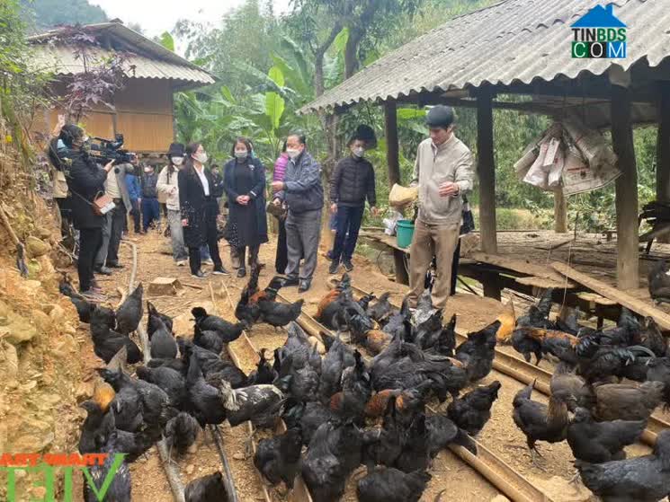 Hình ảnh Long Hẹ, Sơn La