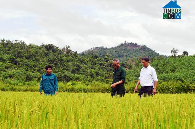 Hình ảnh Tuyên Lâm, Quảng Trị