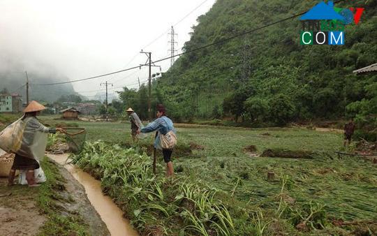 Hình ảnh Muổi Nọi, Sơn La