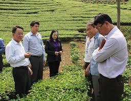 Hình ảnh Mường Cơi, Sơn La