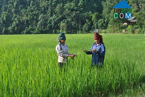 Hình ảnh Mường Giôn, Sơn La