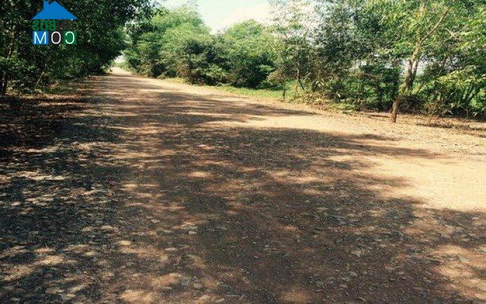 Hình ảnh Đức Hòa, Tây Ninh