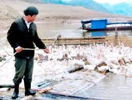 Hình ảnh Tường Hạ, Sơn La