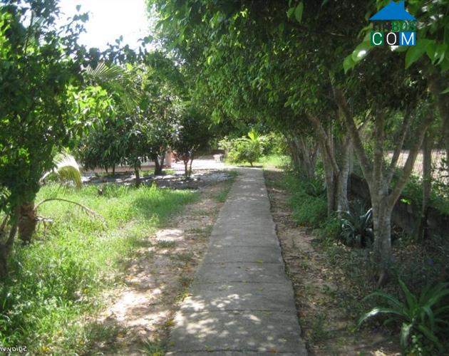 Hình ảnh An Tịnh, Tây Ninh