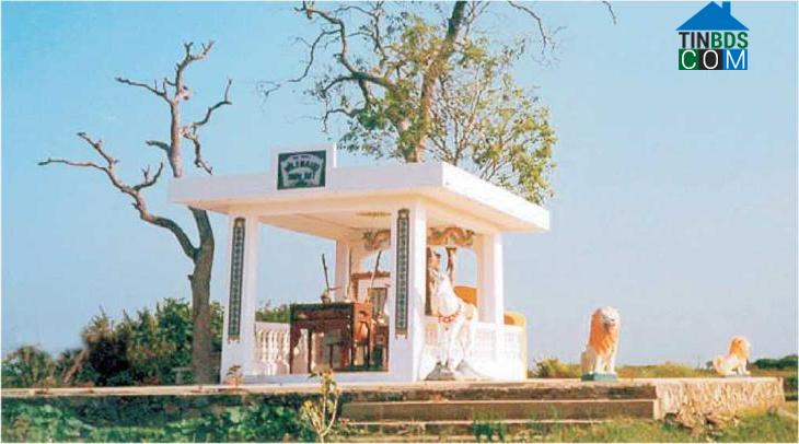 Hình ảnh Trà Vong, Tây Ninh