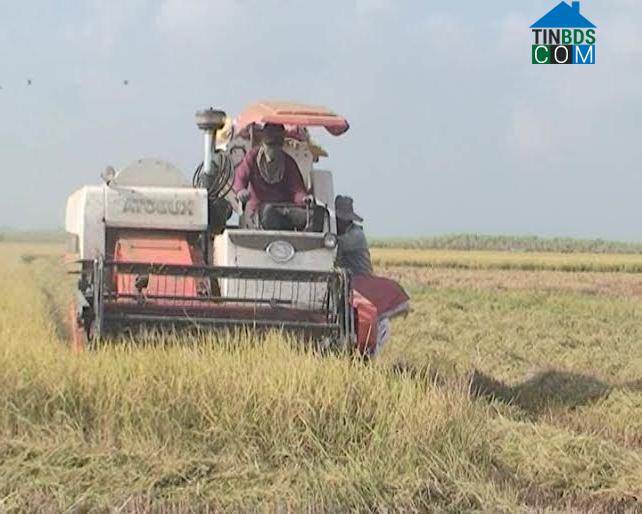 Hình ảnh Truông Mít, Tây Ninh