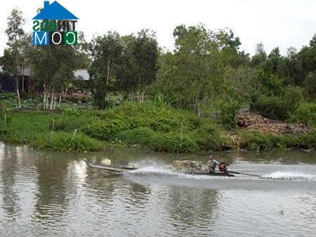 Hình ảnh Mỹ Quý, Tây Ninh