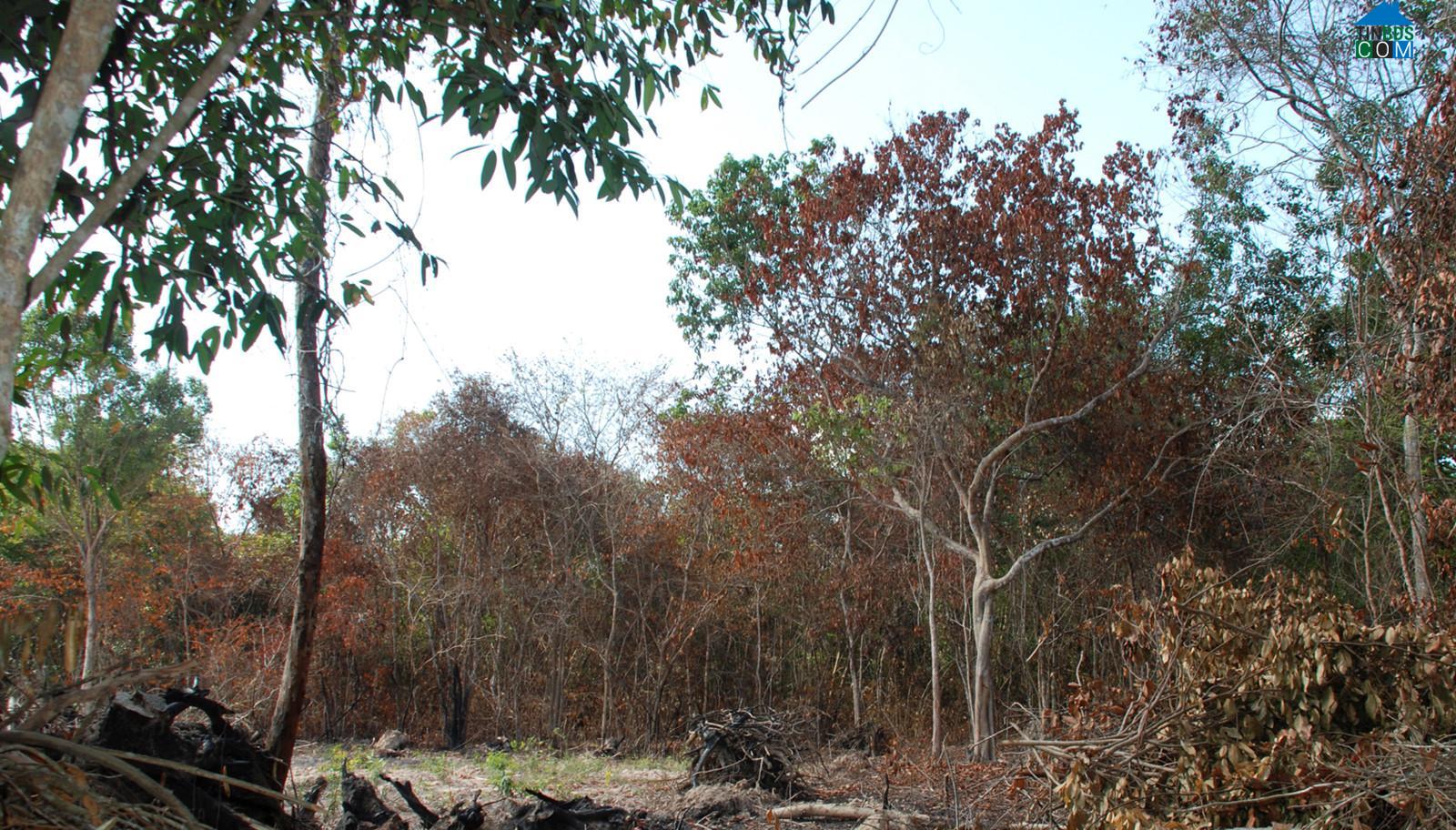 Hình ảnh Ninh Điền, Tây Ninh