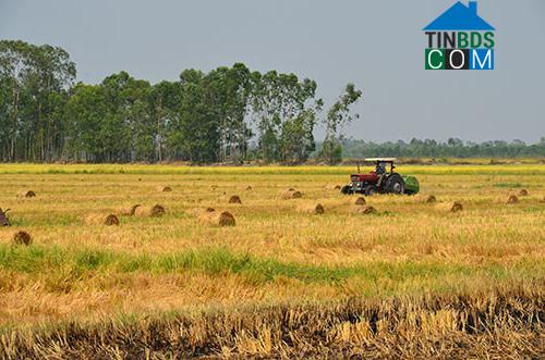 Hình ảnh Phước Chỉ, Tây Ninh