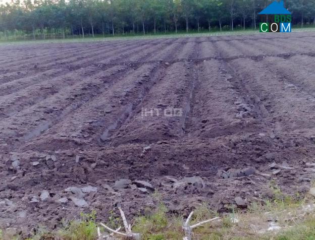 Hình ảnh Gia Lộc, Tây Ninh