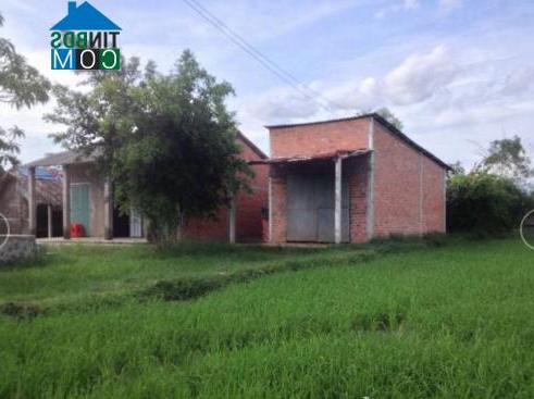 Hình ảnh Hòa Khánh, Tây Ninh