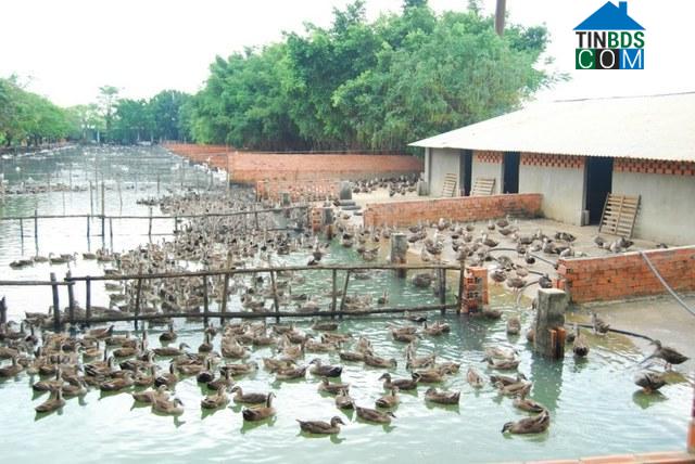 Hình ảnh Lộc Ninh, Tây Ninh