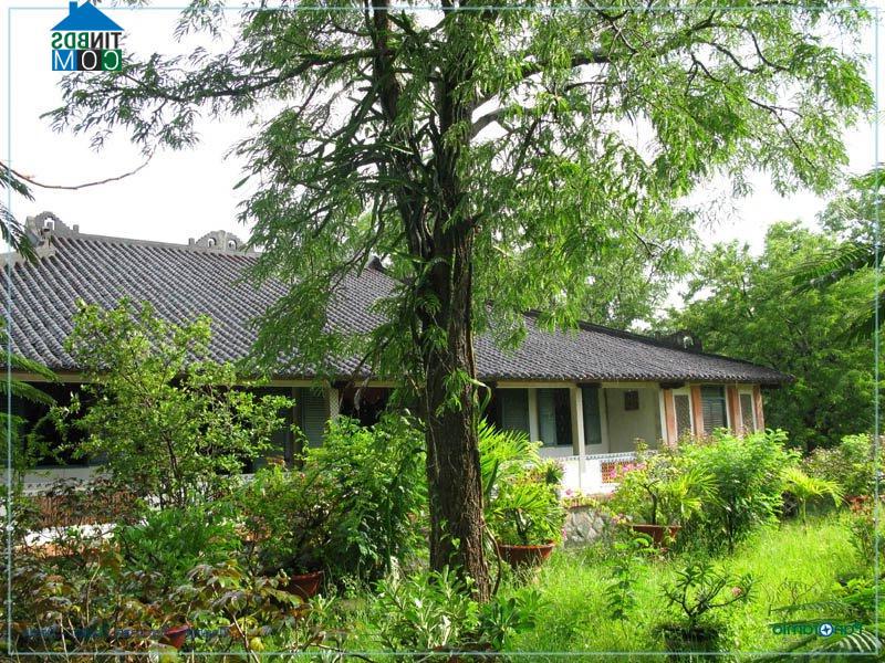 Hình ảnh Long Hựu, Tây Ninh