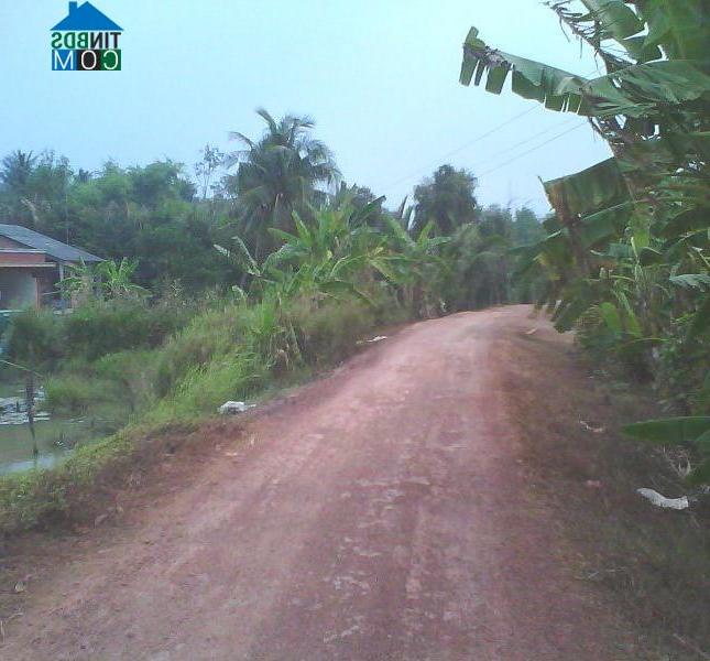 Hình ảnh Nhựt Tảo, Tây Ninh