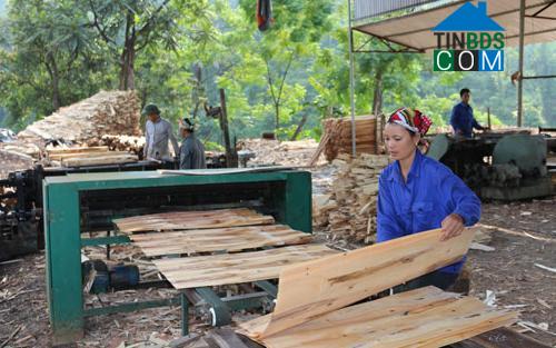 Hình ảnh Yên Trạch, Thái Nguyên