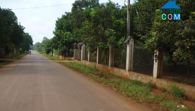 Hình ảnh Tân Châu, Tây Ninh