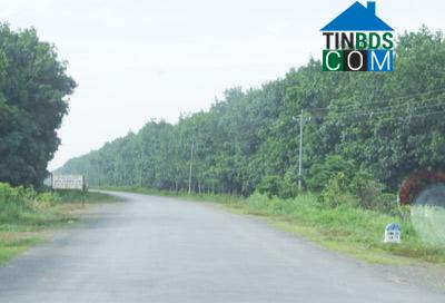 Hình ảnh Tân Đông, Tây Ninh