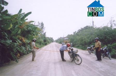 Hình ảnh Tân Hội, Tây Ninh