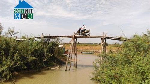 Hình ảnh Tân Hưng, Tây Ninh