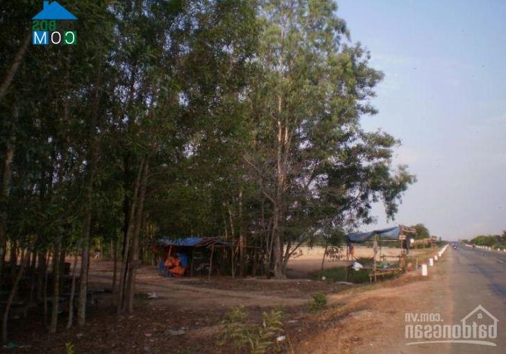 Hình ảnh Tân Long, Tây Ninh