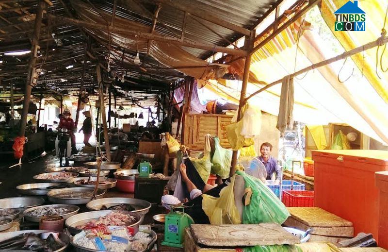 Hình ảnh Tân Phú, Tây Ninh