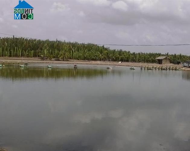 Hình ảnh Tân Tập, Tây Ninh