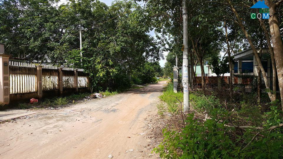 Hình ảnh Tân Thành, Tây Ninh