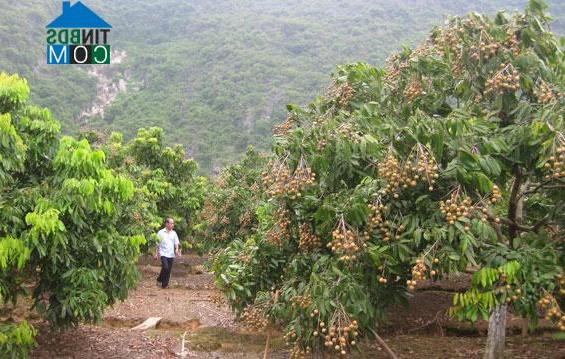 Hình ảnh La Hiên, Thái Nguyên