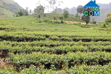 Hình ảnh Chợ Mới, Thái Nguyên