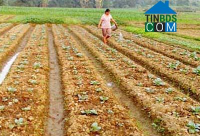 Hình ảnh Chợ Rã, Thái Nguyên