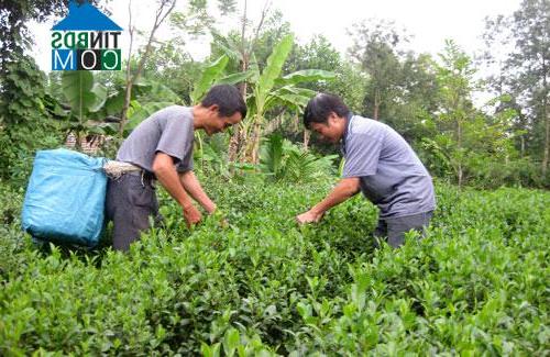 Hình ảnh Đồng Hỷ, Thái Nguyên