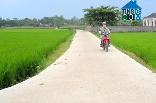 Hình ảnh Tân Khánh, Thái Nguyên